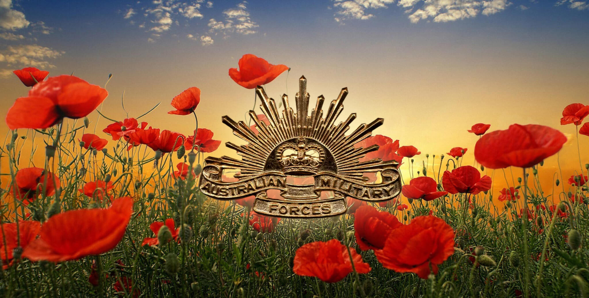 Дай маки. Anzac Day. Anzac Emblem. Anzac pattern. Anzac Day background.