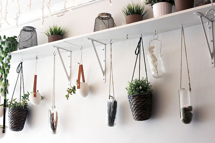 hanging plants along a wall in the Collective Cafe. 
