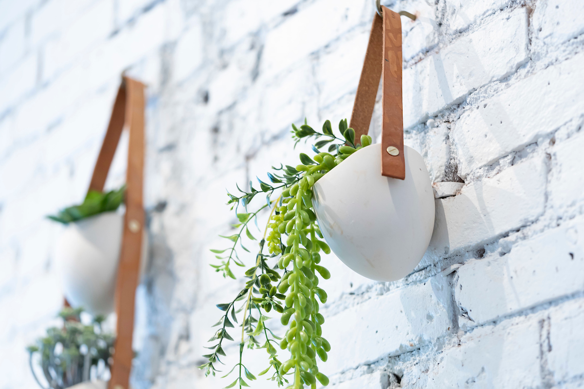 A hanging potted plant against white wash brick wall