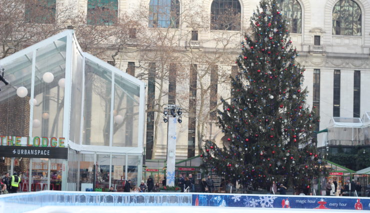 Ice skating rink with Christmas tree in background
