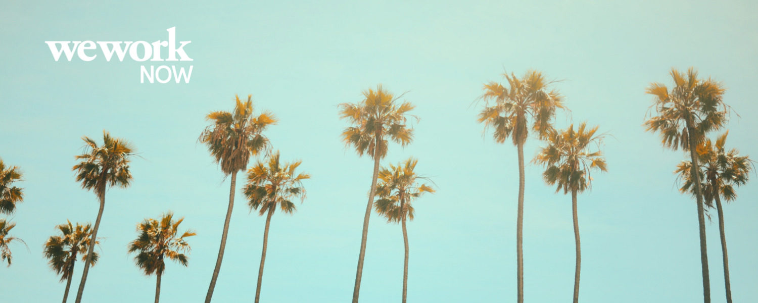 Wework Now Private Events