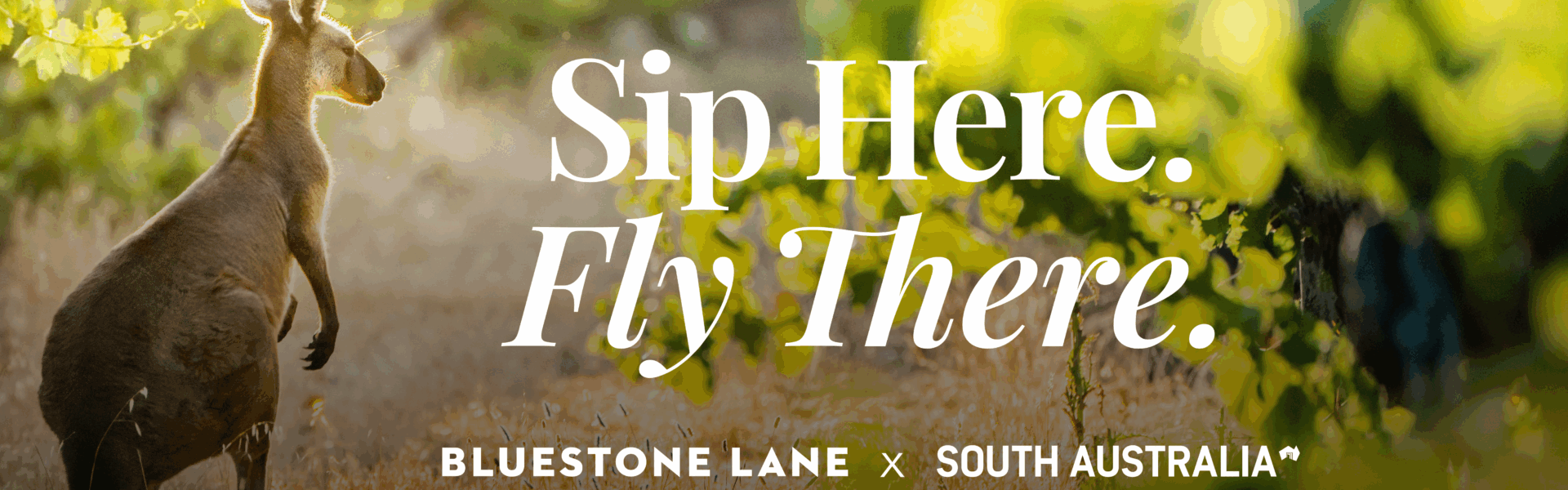 Kangaroo Promo Banner